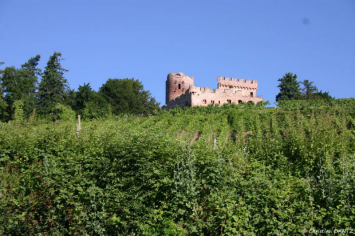 Château de Kintzheim Christian DANTZ